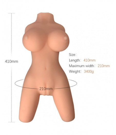 ARMONY - REALISTIC FEMALE TORSO MODEL 8