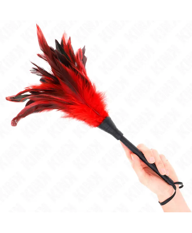 KINK – RAUDONOS TARGELĖS RAGO FORMOS KUTINĖS VIŠTŲ PLUNKSNOS 36 CM 2