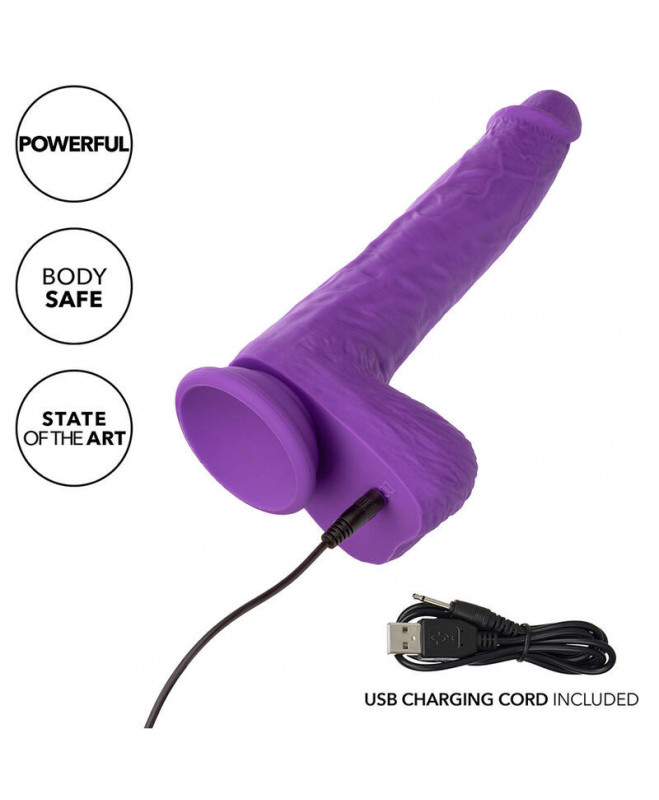 CALEXOTICS – SMIELĖS ĮKRAUJAMI IR SUKIMAS VIBRATORIUS 10 VIBRATIONS PURPLE 7