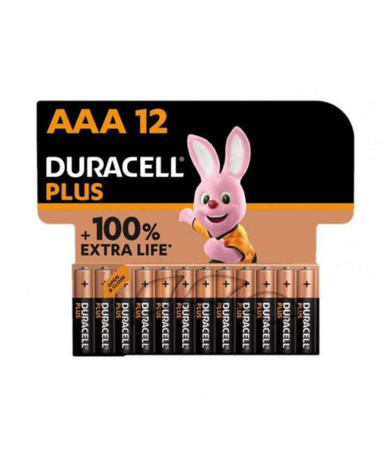 DURACELL PLUS POWER 100 šarminė baterija AAA LR03 12 vnt.