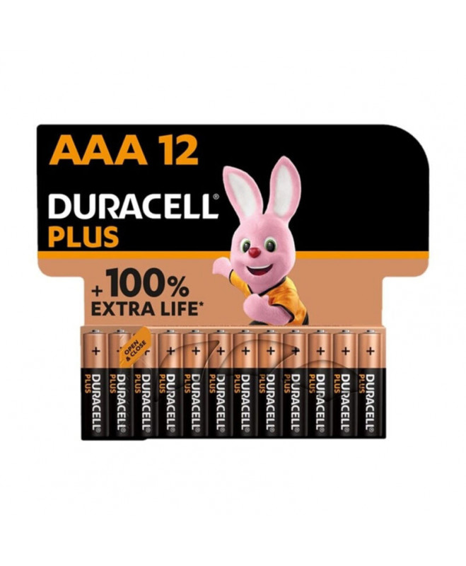 DURACELL PLUS POWER 100 šarminė baterija AAA LR03 12 vnt.