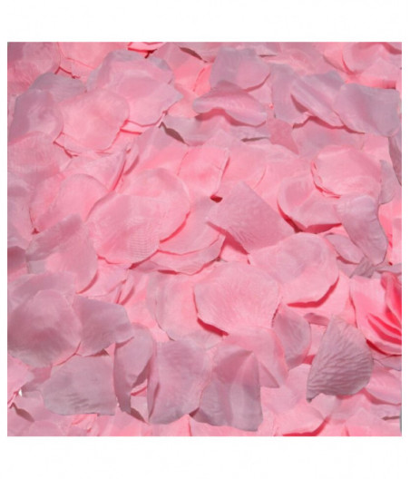 DIABLO PICANTE - 100 PINK PETALS rožių žiedlapiai