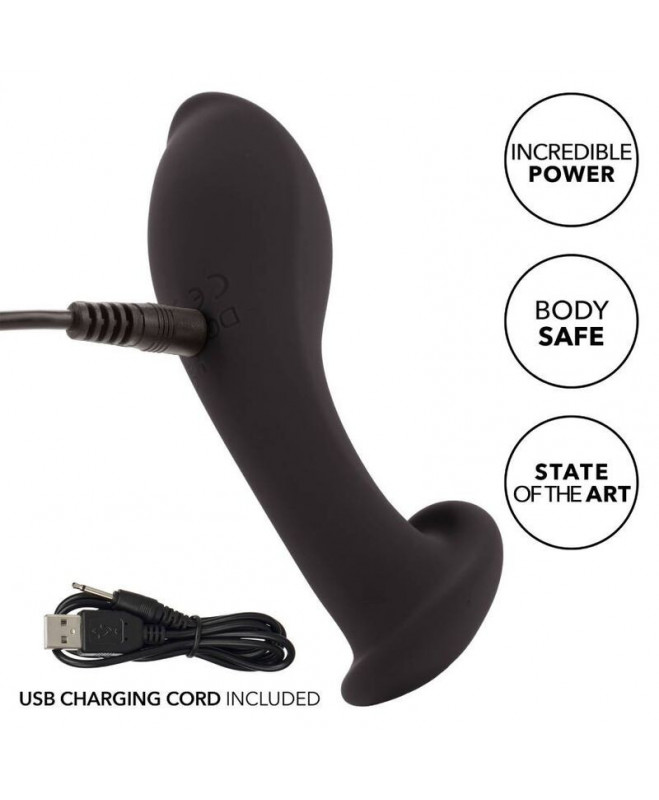 CALIFORNIA EXOTICS LIQUID SILICONE FLEX PROBE 5